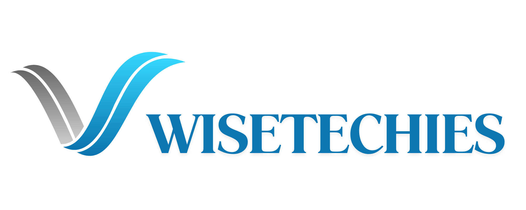 Wisetechies